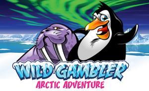 Wild Gambler – Arctic Adventures