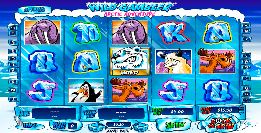 Wild Gambler – Arctic Adventures