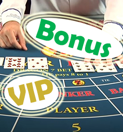 VIP & Bonus